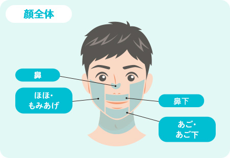 顔全体