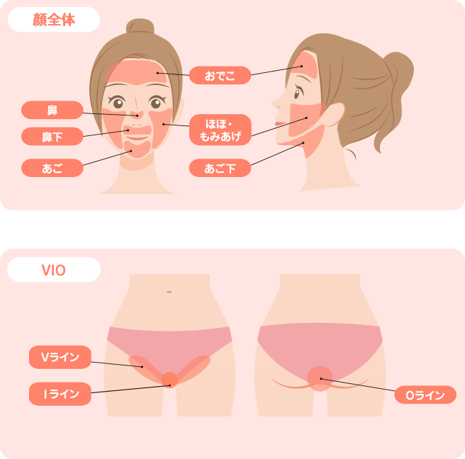 顔全体